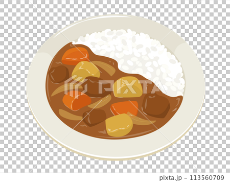 矢量圖的咖哩和米飯 矢量圖的咖哩和米飯 113560709