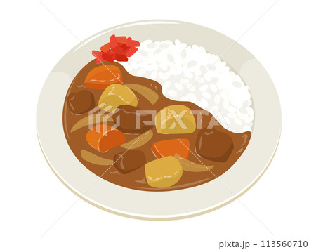 カレーライスのベクターイラスト カレーライスのベクターイラスト 113560710
