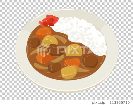 カレーライスのベクターイラスト カレーライスのベクターイラスト 113560710
