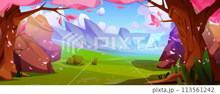 Beautiful park with sakura trees and rocky stones 113561242
