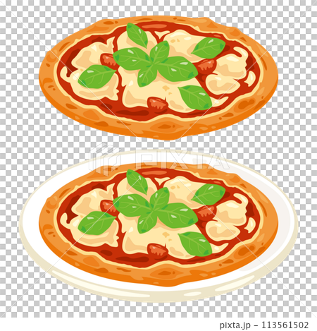 盤子上的瑪格麗特披薩 113561502