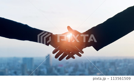 都市を背景に握手する人々のシルエット 113561509