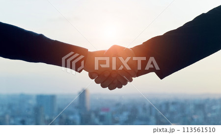 都市を背景に握手する人々のシルエット 113561510