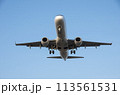 エアライン 113561531