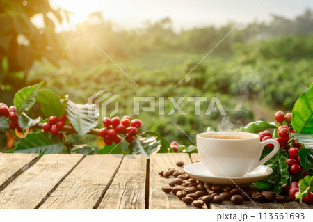 cup of hot coffee on table with roasted coffee beans and plantation with sunshine as background cup of hot coffee on table with roasted coffee beans and plantation with sunshine as background 113561693