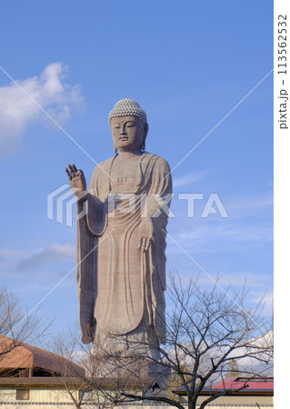 青空と牛久大仏 113562532