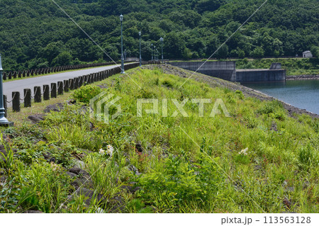 堀川(ほっかわ)ダム　2023-7-22　＃108 113563128