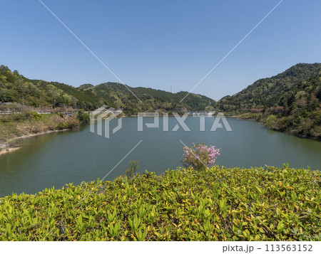 展望台から見る滝畑ダムの風景 113563152