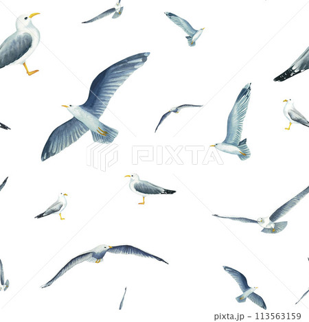 Seamless pattern with flying in the sky seagulls in watercolor isolated on white background. Hand drawn illustration on the theme of sea fishing. Children's, marine, tourist. For design, prints, 113563159