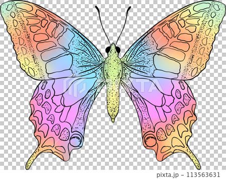 Colorful butterfly with digital gradient watercolor. Colorful butterfly with digital gradient watercolor. 113563631