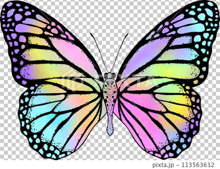 Colorful butterfly with digital gradient watercolor. Colorful butterfly with digital gradient watercolor. 113563632
