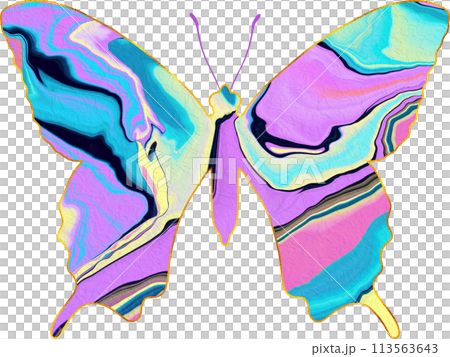 Butterfly with colorful liquid texture. Butterfly with colorful liquid texture. 113563643