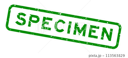 Grunge green specimen word square rubber seal stamp on white background 113563829