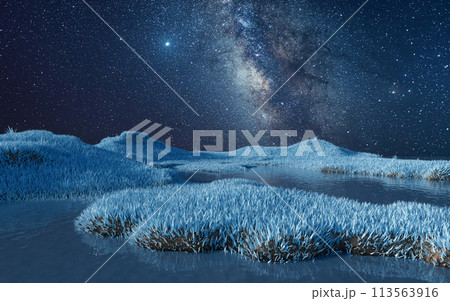 Blue grassland with milky way at night, 3d rendering. 113563916