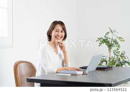 パソコン作業をするミドル女性 113564522