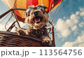 Dog in a Hot Air Balloon Wearing Sunglasses Dog in a Hot Air Balloon Wearing Sunglasses 113564756