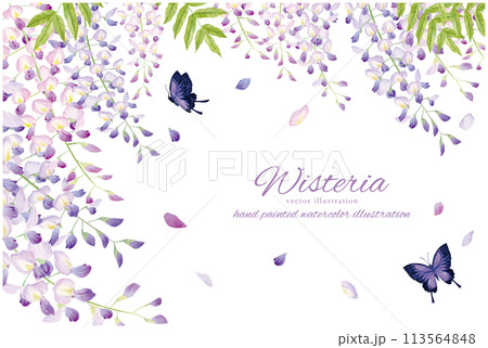 優しい水彩タッチの藤のと蝶の背景素材 優しい水彩タッチの藤のと蝶の背景素材 113564848