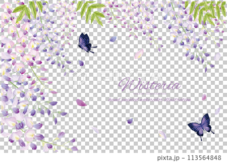 紫藤和蝴蝶的背景材料,具有柔和的水彩觸感 紫藤和蝴蝶的背景材料,具有柔和的水彩觸感 113564848