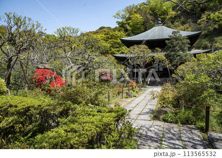 鎌倉244　瑞泉寺2 113565532