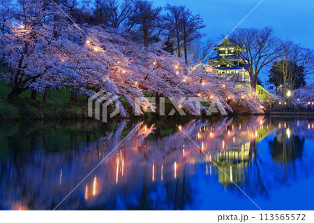 【新潟県】シンメトリーな高田城の満開の夜桜(高田城址公園観桜会) 【新潟県】シンメトリーな高田城の満開の夜桜(高田城址公園観桜会) 113565572