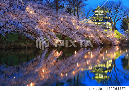 【新潟県】シンメトリーな高田城の満開の夜桜(高田城址公園観桜会) 【新潟県】シンメトリーな高田城の満開の夜桜(高田城址公園観桜会) 113565575