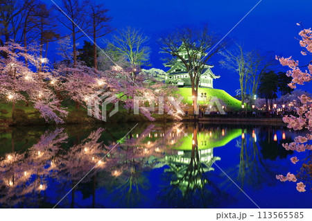 【新潟県】シンメトリーな高田城の満開の夜桜(高田城址公園観桜会) 【新潟県】シンメトリーな高田城の満開の夜桜(高田城址公園観桜会) 113565585