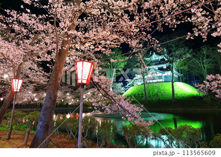 【新潟県】シンメトリーな高田城の満開の夜桜(高田城址公園観桜会) 【新潟県】シンメトリーな高田城の満開の夜桜(高田城址公園観桜会) 113565609