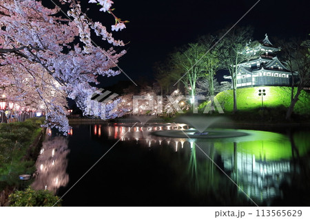 【新潟県】シンメトリーな高田城の満開の夜桜（高田城址公園観桜会） 113565629