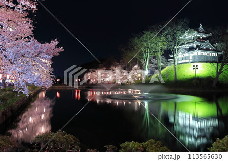 【新潟県】シンメトリーな高田城の満開の夜桜(高田城址公園観桜会) 【新潟県】シンメトリーな高田城の満開の夜桜(高田城址公園観桜会) 113565630