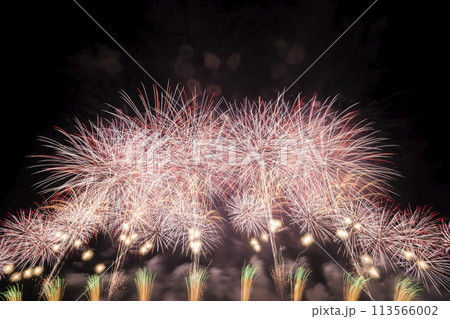 花火大会イメージ 花火大会イメージ 113566002