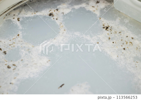 洗濯槽クリーナーで出た汚れイメージ 113566253