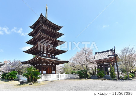 覚王山日泰寺五重塔 覚王山日泰寺五重塔 113567089