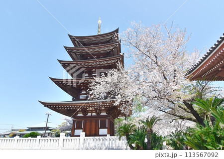 覚王山日泰寺五重塔 113567092