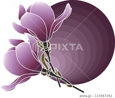 Illustration of verbanica saucer magnolia flower on dark violet circle background. Illustration of verbanica saucer magnolia flower on dark violet circle background. 113567242