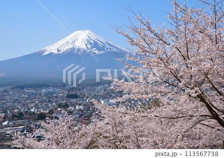 桜 富士山 富士吉田市街 桜 富士山 富士吉田市街 113567738