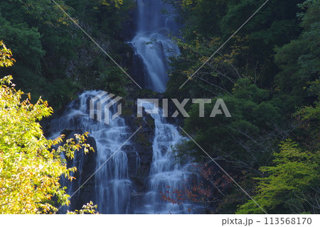 滝の風景 113568170