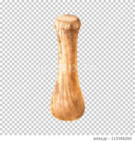 Wooden pestle. Hand drawn watercolor illustration isolated on white background. Cosmetic products and elements of cosmetology and medicine. For designers, spa, cards, wrapping paper, scrapbooking. Wooden pestle. Hand drawn watercolor illustration isolated on white background. Cosmetic products and elements of cosmetology and medicine. For designers, spa, cards, wrapping paper, scrapbooking. 113568260
