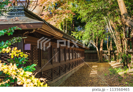 秋の京都　梨木神社 113568465