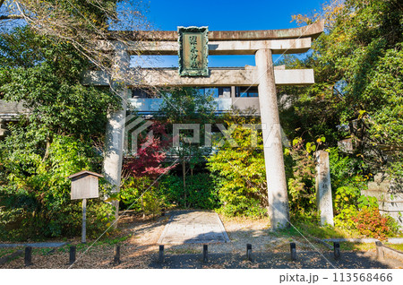 秋の京都　梨木神社 113568466