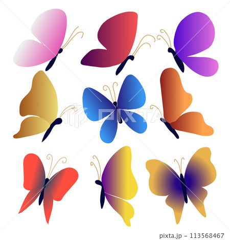 Set of colored butterflies with gradient on wings. Vector illustration butterflies of different shapes and color  113568467