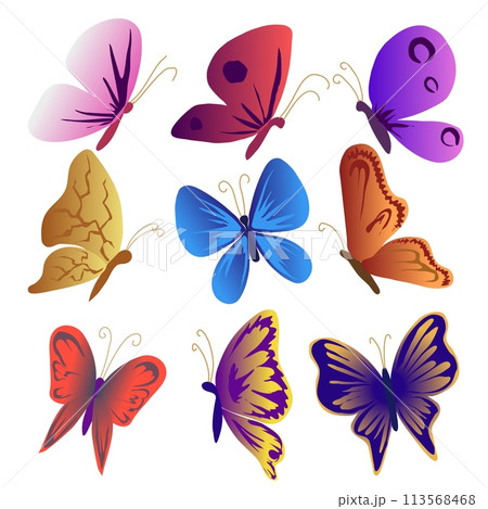 Set of beautiful colored butterflies of different shapes vector illustration.  113568468