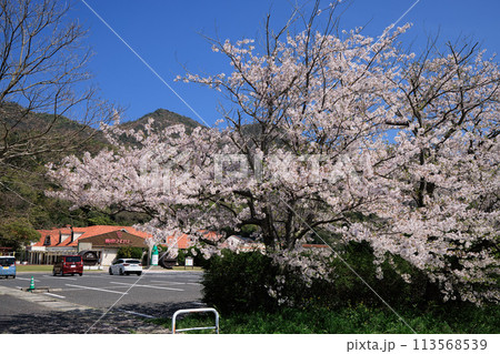 〈島根県〉春の島根ワイナリー　南入口　南欧風の外観 113568539