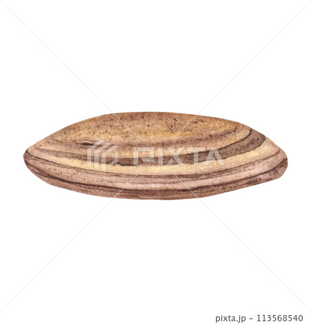 River stone. Hand drawn watercolor illustration with pebble on isolated background. Drawing of striped smooth oceanic rocks. Sketch of minerals in brown color. SPA concept for card, label, souvenirs. 113568540