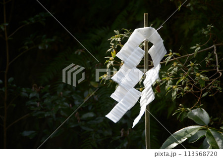 日向大神宮 境内の紙垂 京都市山科区日ノ岡 日向大神宮 境内の紙垂 京都市山科区日ノ岡 113568720