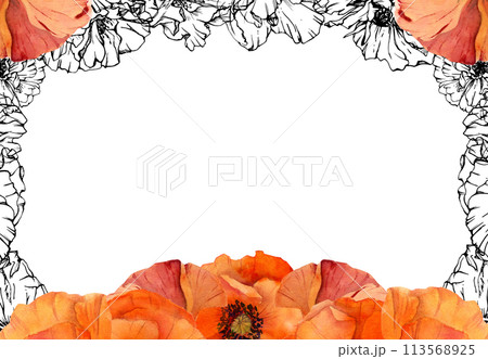 Hand drawn watercolor botanical illustration flowers leaves. Red poppy papaver, stems buds seedpods. Border frame isolated on white background. Design wedding, love cards, remembrance day stationery 113568925