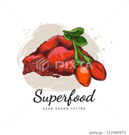 Fresh and dried Goji berries and sugar food product hand drawn vector, natural fruit flour ingredient organic superfood Fresh and dried Goji berries and sugar food product hand drawn vector, natural fruit flour ingredient organic superfood 113568973