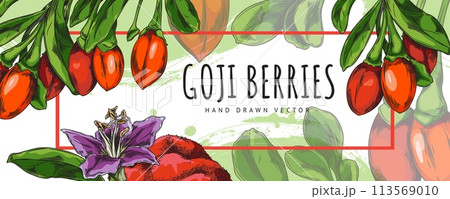 Banner with goji berries and flowers with text space for advertising design. Banner with goji berries and flowers with text space for advertising design. 113569010