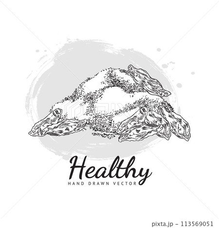 Detailed drawings of goji berries with text space. 113569051