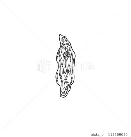 Dried goji berry engraved hand drawn vector, farm natural ripe wrinkled berry black sketch organic superfood fruit plant 113569053