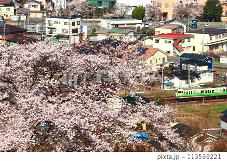 満開の桜が咲く春の戸倉 113569221